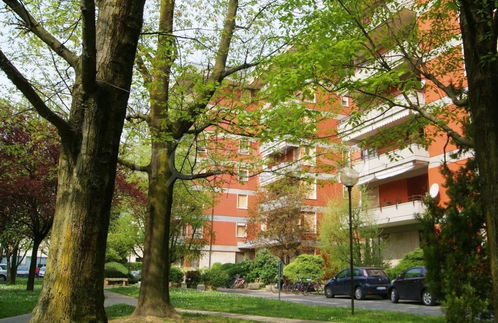 immagine annuncio 1 di 11