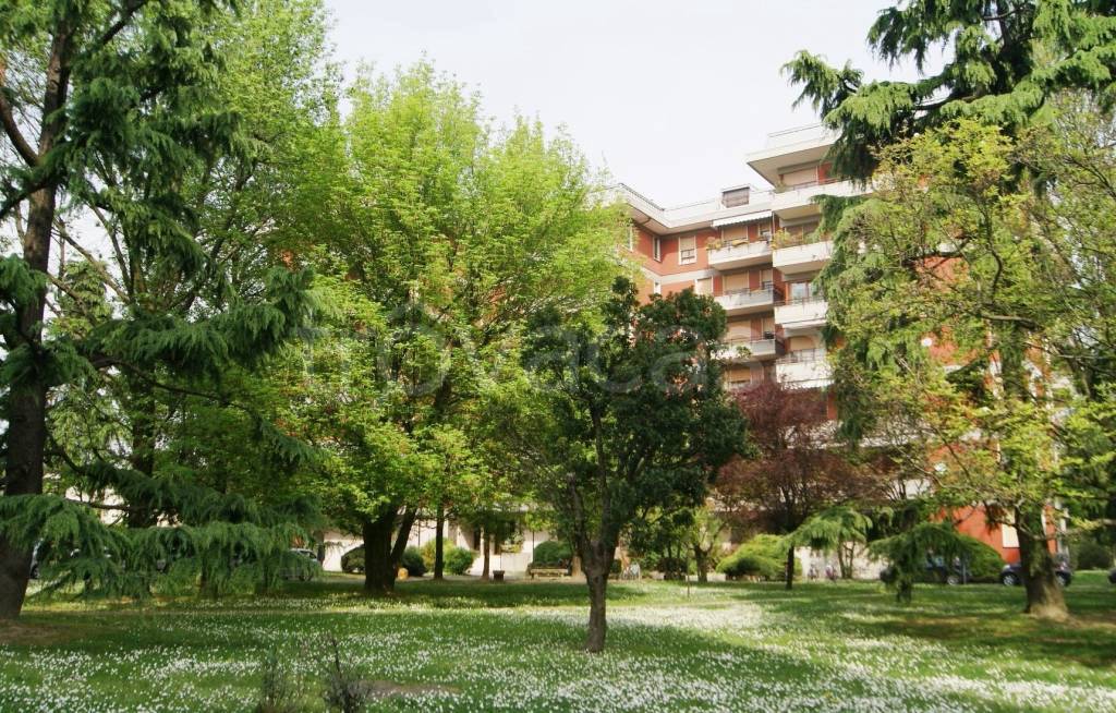 immagine annuncio 2 di 11