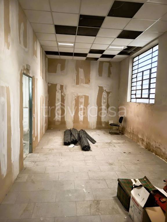 immagine annuncio 2 di 14