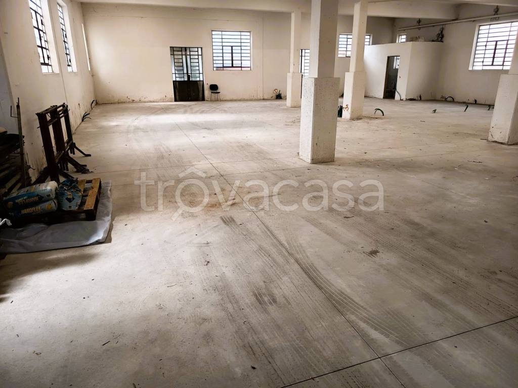 immagine annuncio 5 di 14