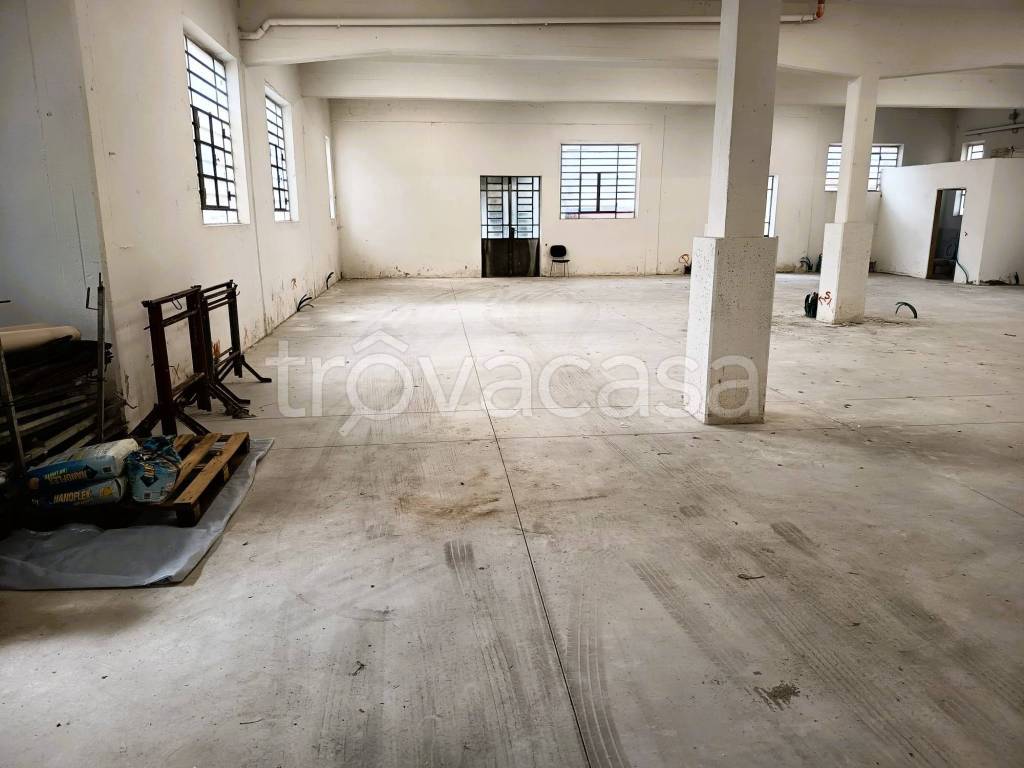 immagine annuncio 8 di 14