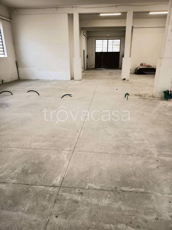 immagine annuncio 9 di 14