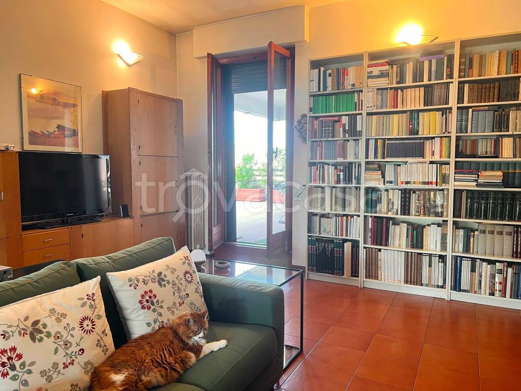 immagine annuncio 11 di 15