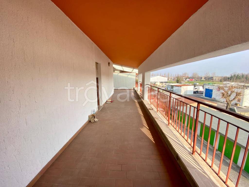 immagine annuncio 8 di 9