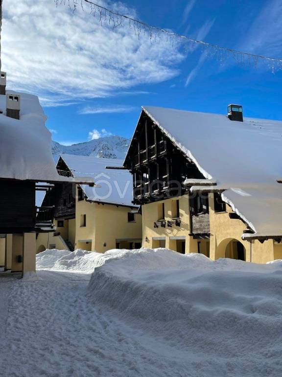 immagine annuncio 7 di 8