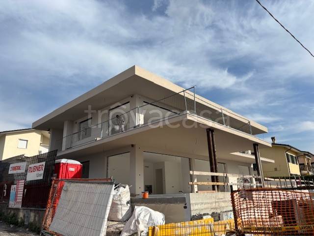 immagine annuncio 12 di 14