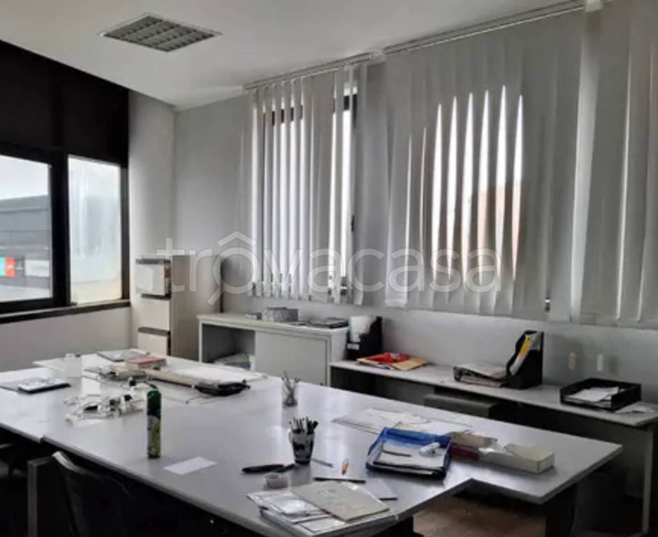 immagine annuncio 6 di 12