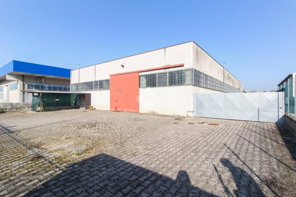 immagine annuncio 11 di 15