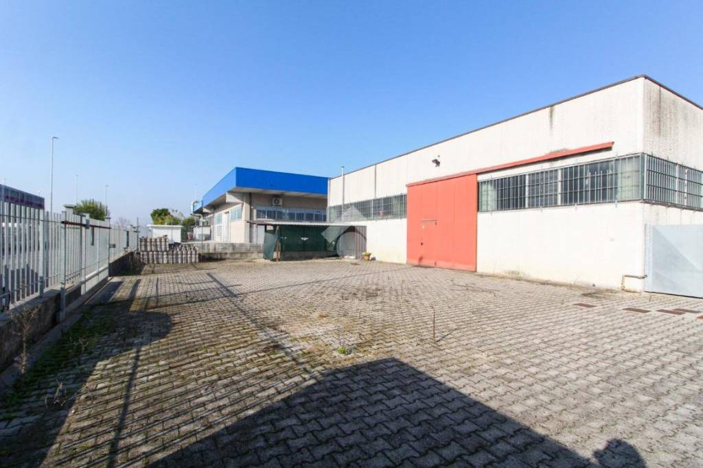 immagine annuncio 14 di 15