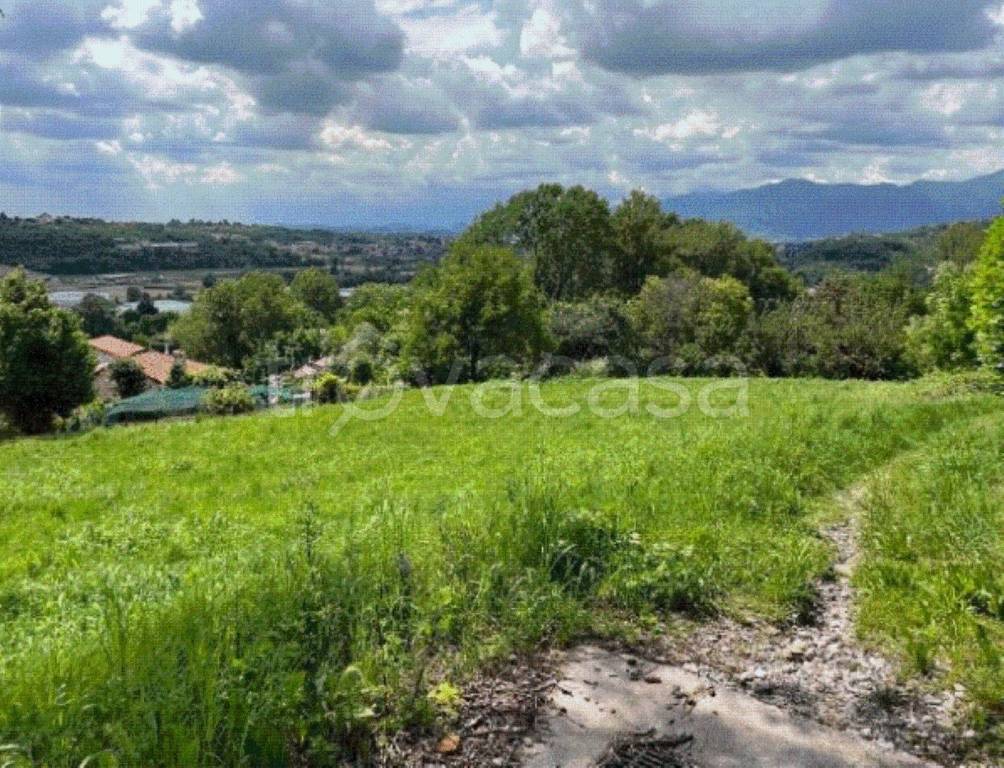 immagine annuncio 2 di 12