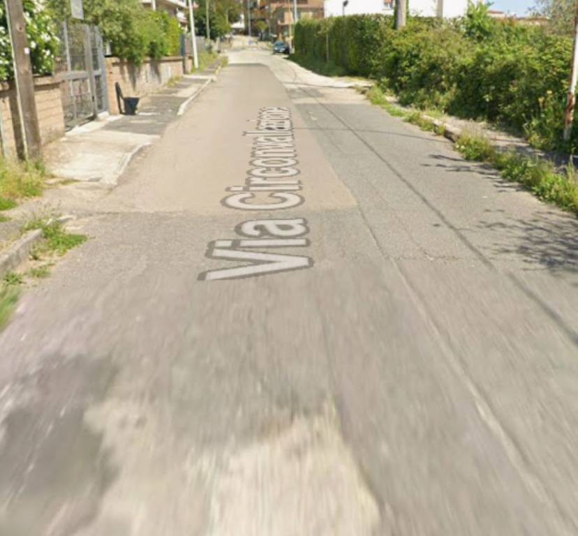 immagine annuncio 9 di 11