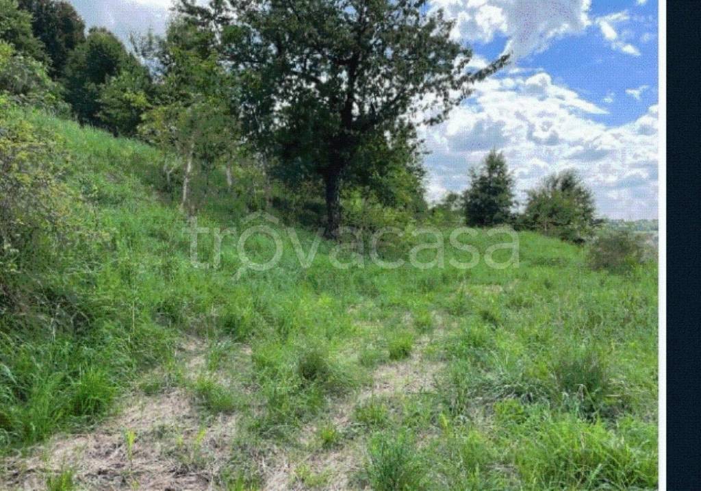 immagine annuncio 6 di 12