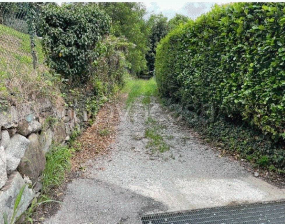 immagine annuncio 10 di 12