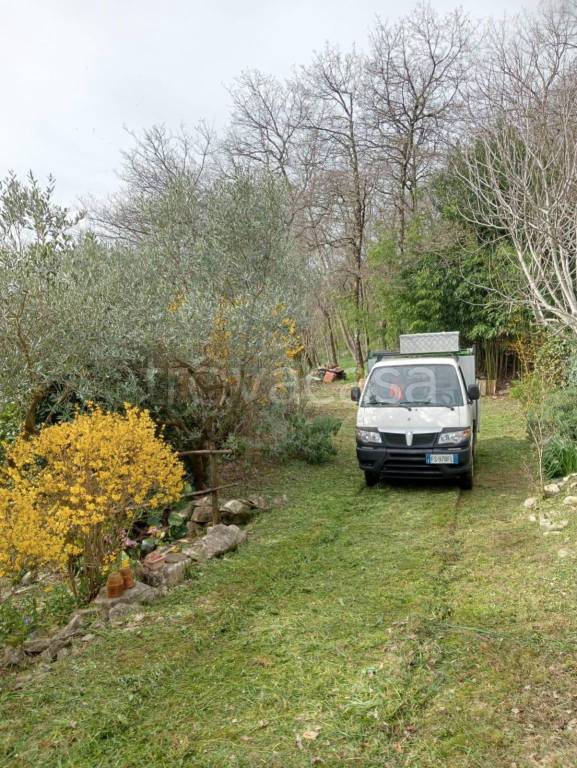 immagine annuncio 11 di 13