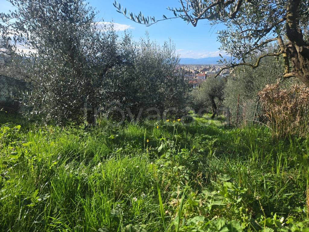 immagine annuncio 2 di 4