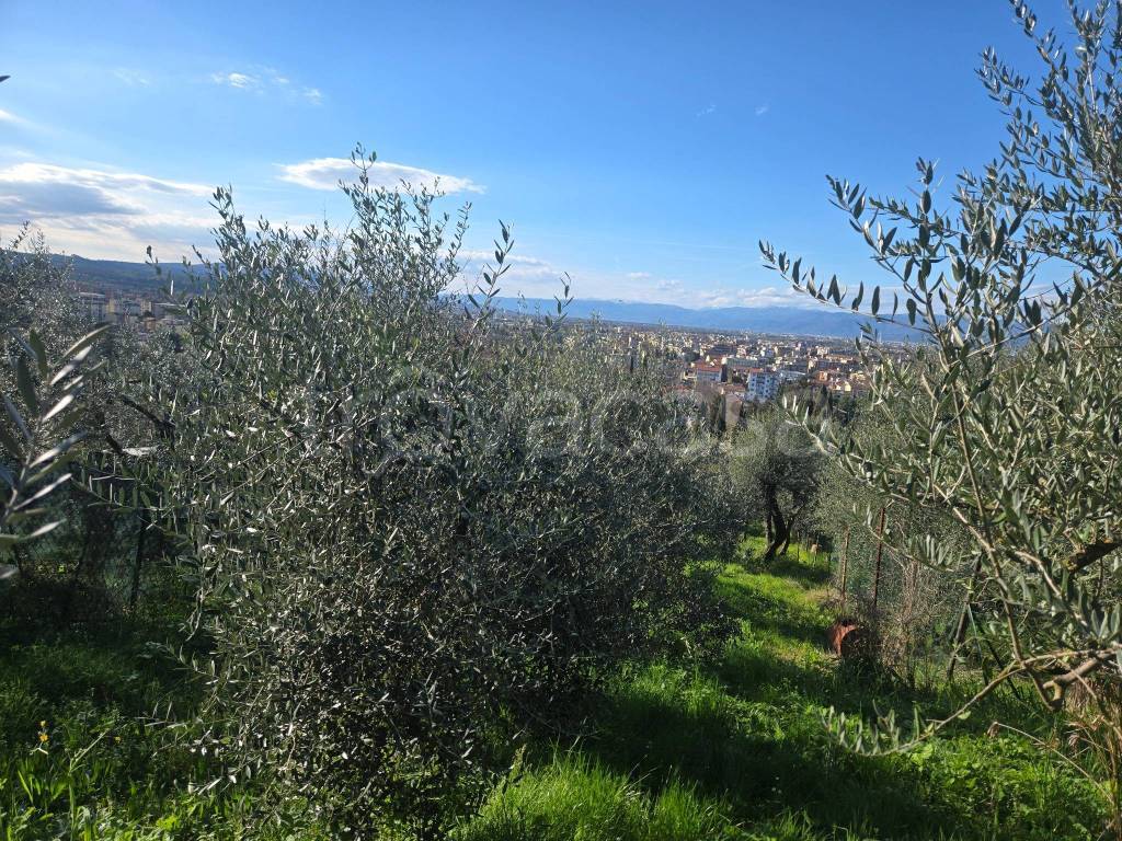 immagine annuncio 3 di 4