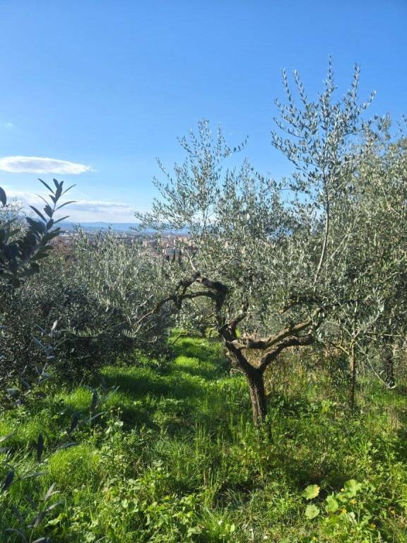 immagine annuncio 1 di 4