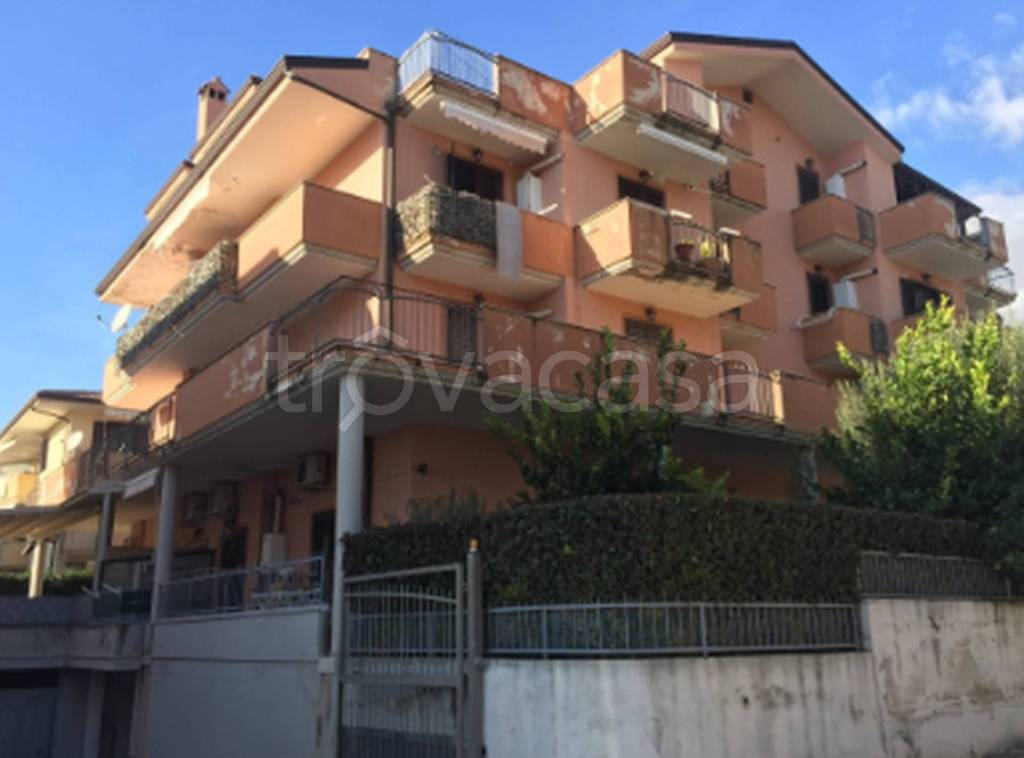 immagine annuncio 9 di 11