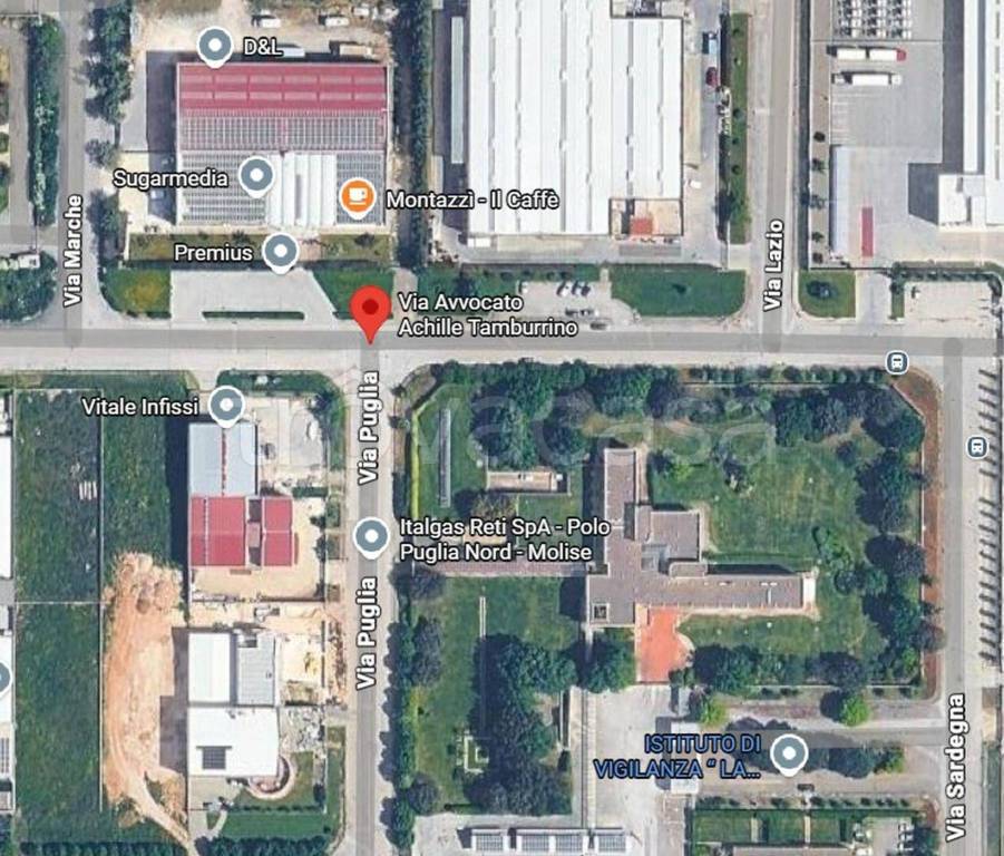 immagine annuncio 5 di 10