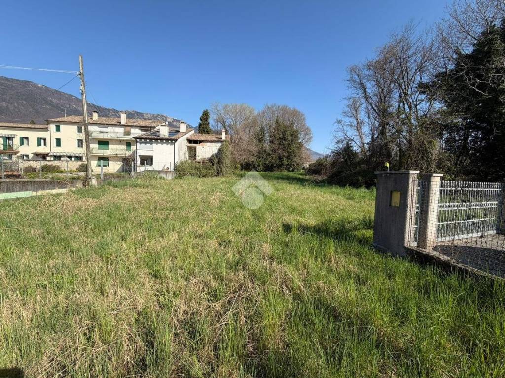 immagine annuncio 3 di 6