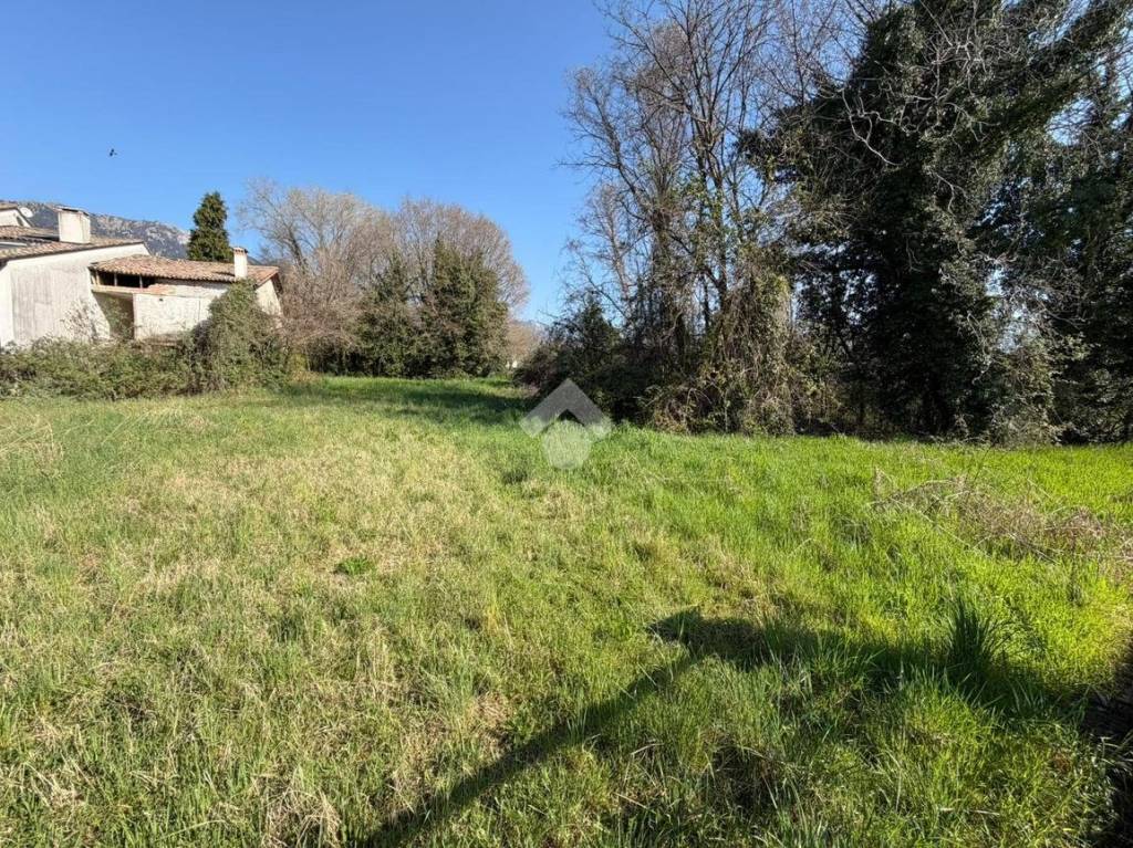 immagine annuncio 4 di 6