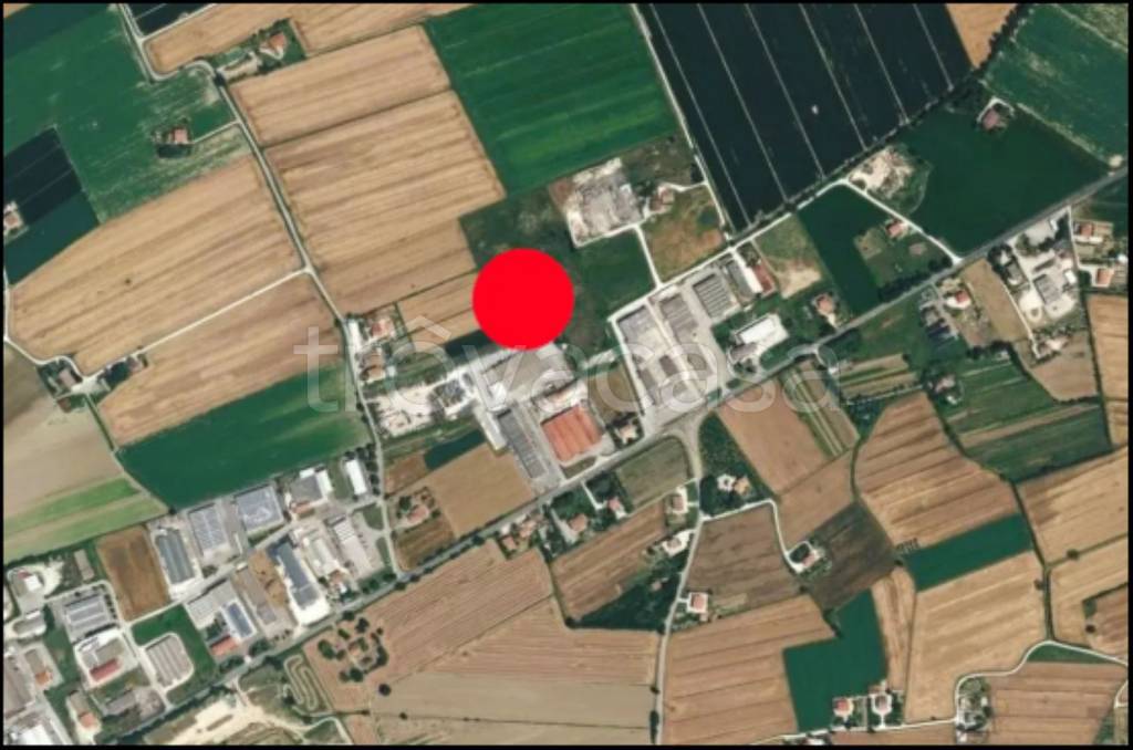 immagine annuncio 11 di 12