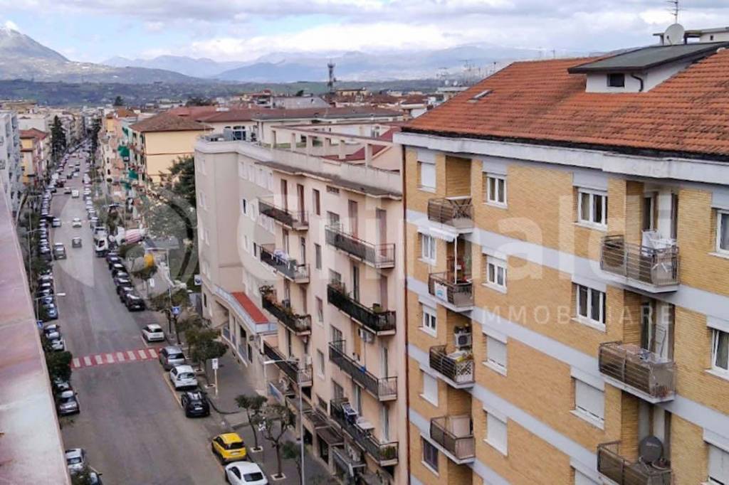 immagine annuncio 12 di 14