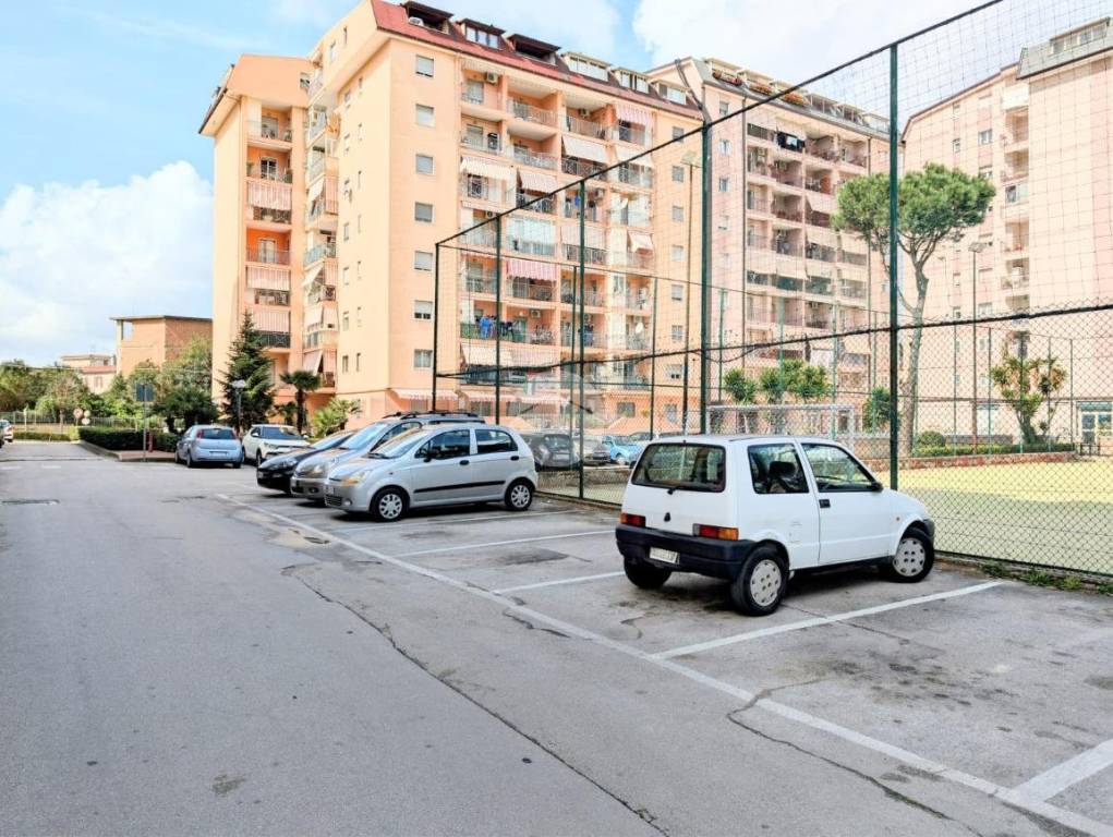 immagine annuncio 3 di 9