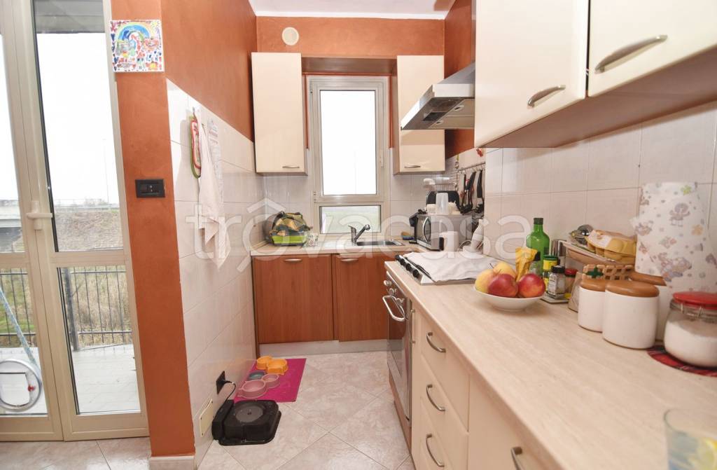 immagine annuncio 9 di 15