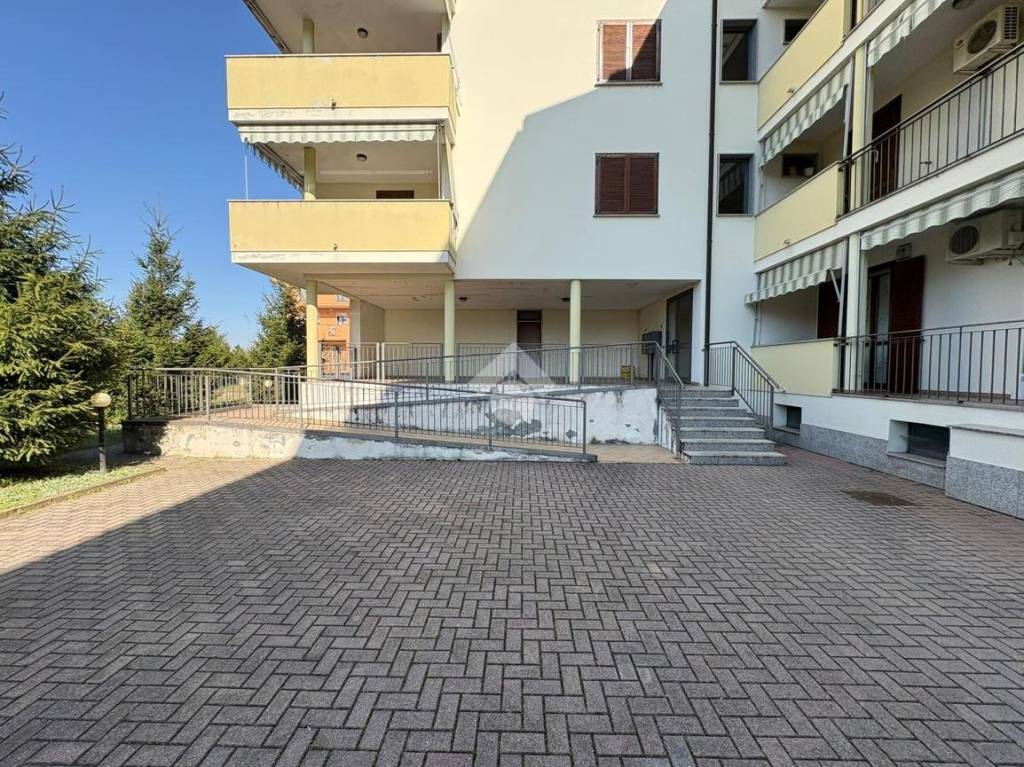 immagine annuncio 9 di 15