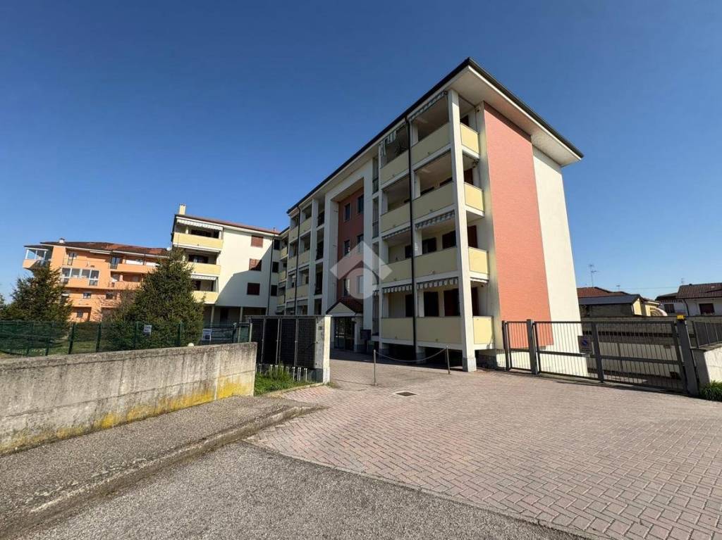 immagine annuncio 10 di 15