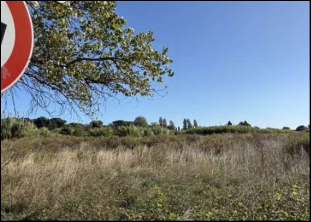 immagine annuncio 4 di 12