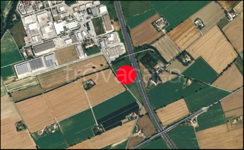 immagine annuncio 11 di 12