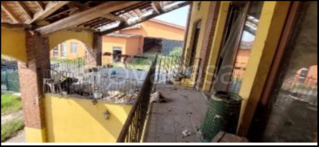 immagine annuncio 3 di 14