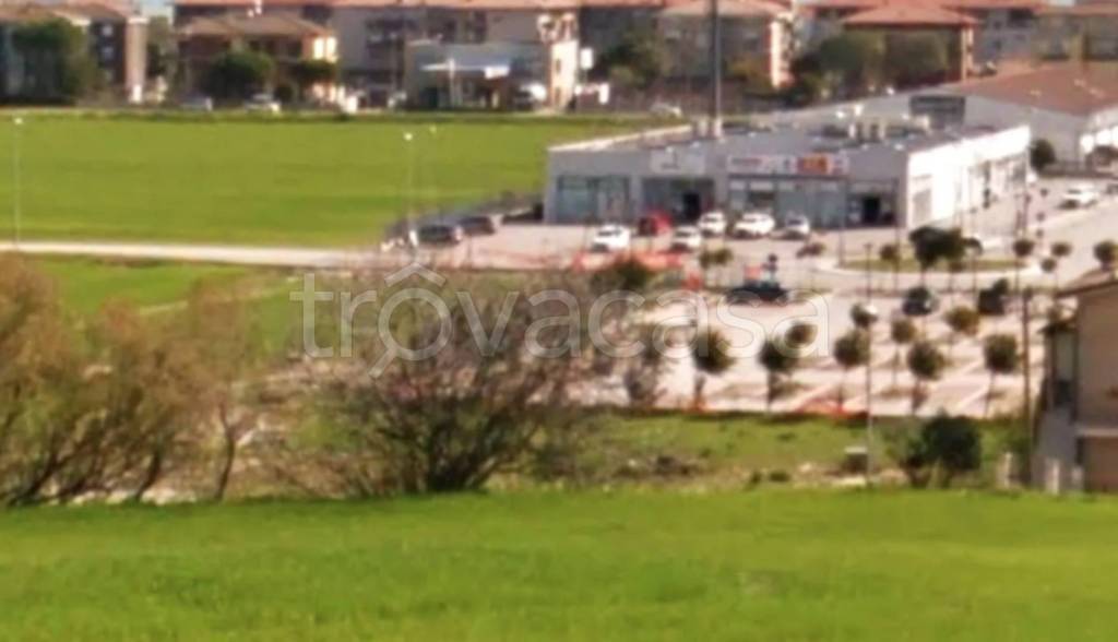 immagine annuncio 4 di 13