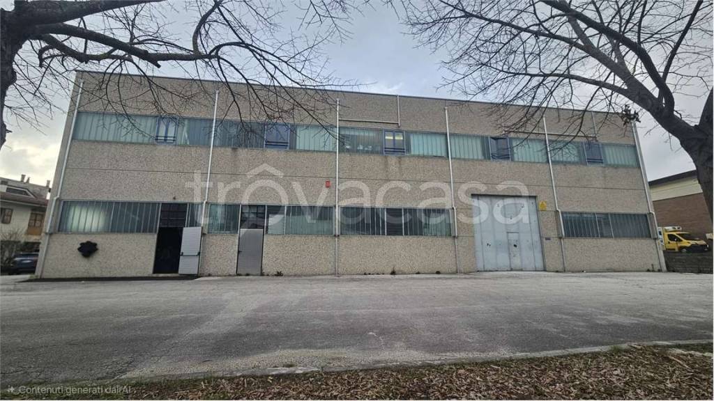 immagine annuncio 1 di 11