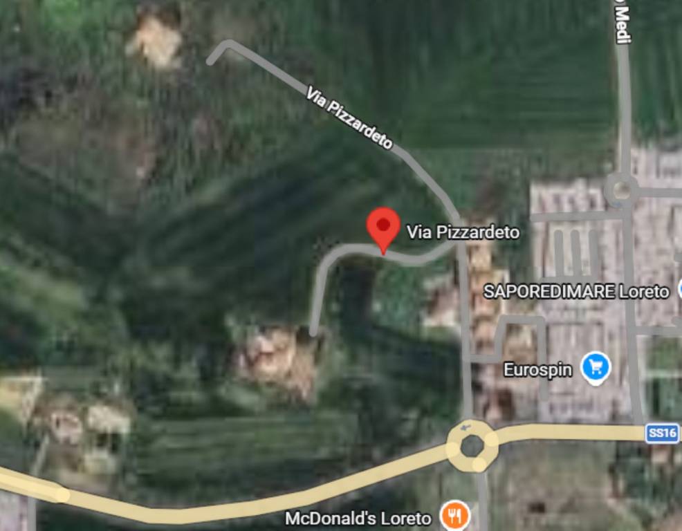 immagine annuncio 9 di 13