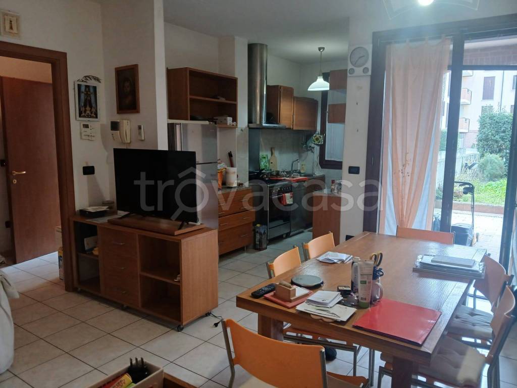 immagine annuncio 2 di 14