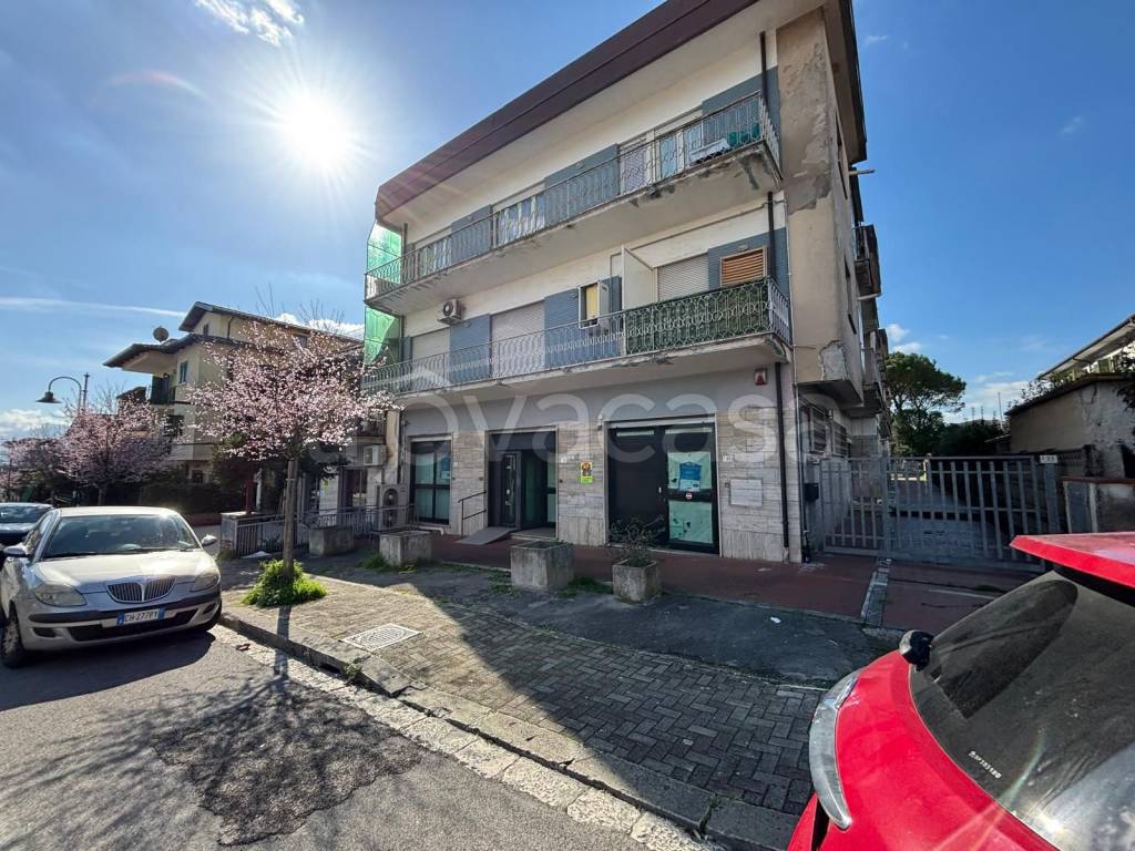 immagine annuncio 2 di 14