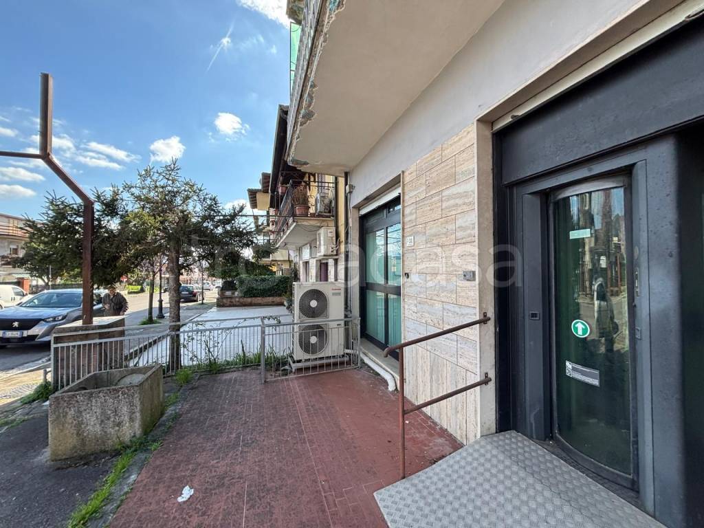 immagine annuncio 3 di 14