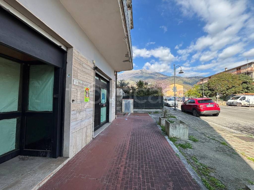 immagine annuncio 4 di 14