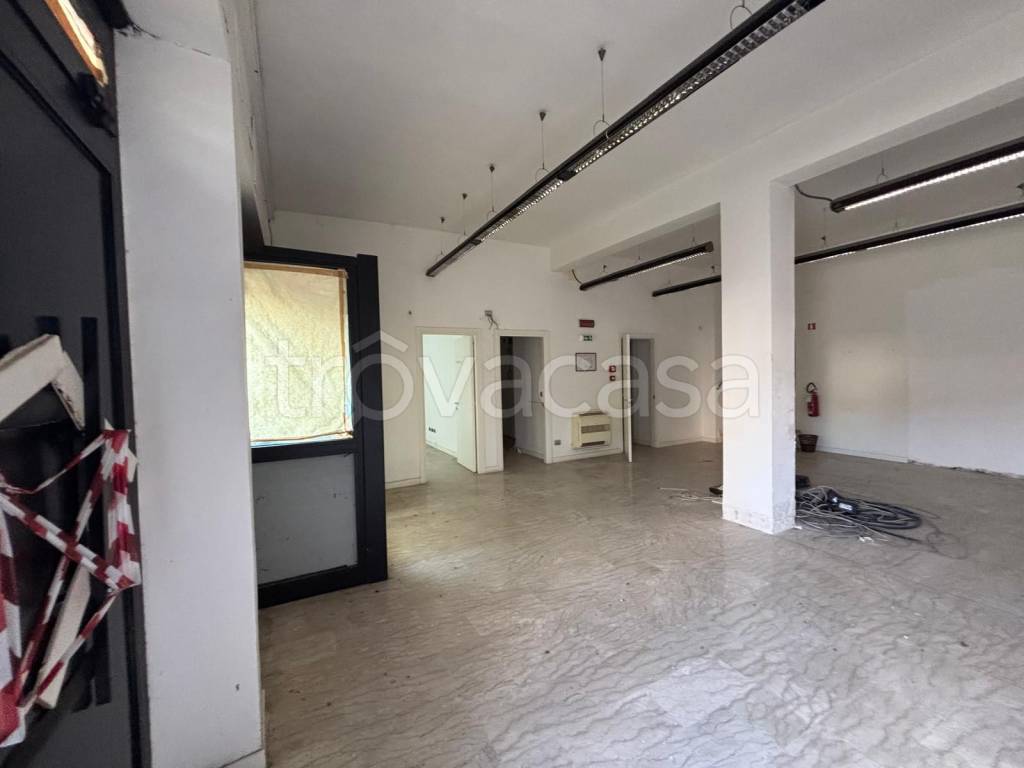 immagine annuncio 5 di 14