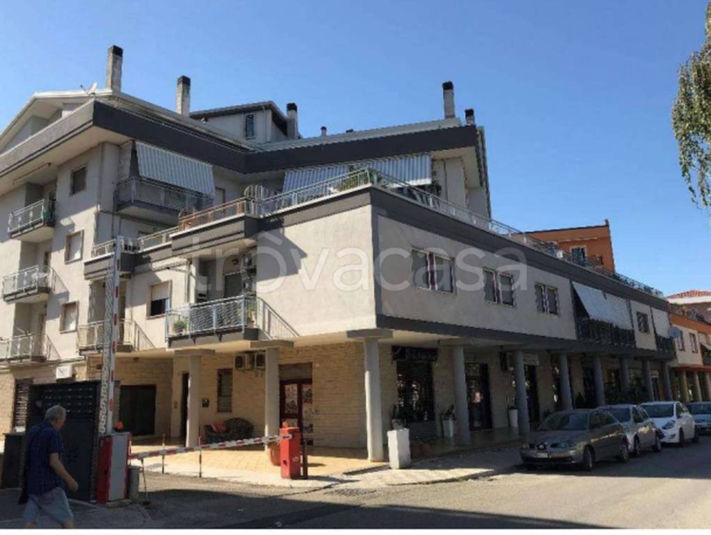 immagine annuncio 3 di 11