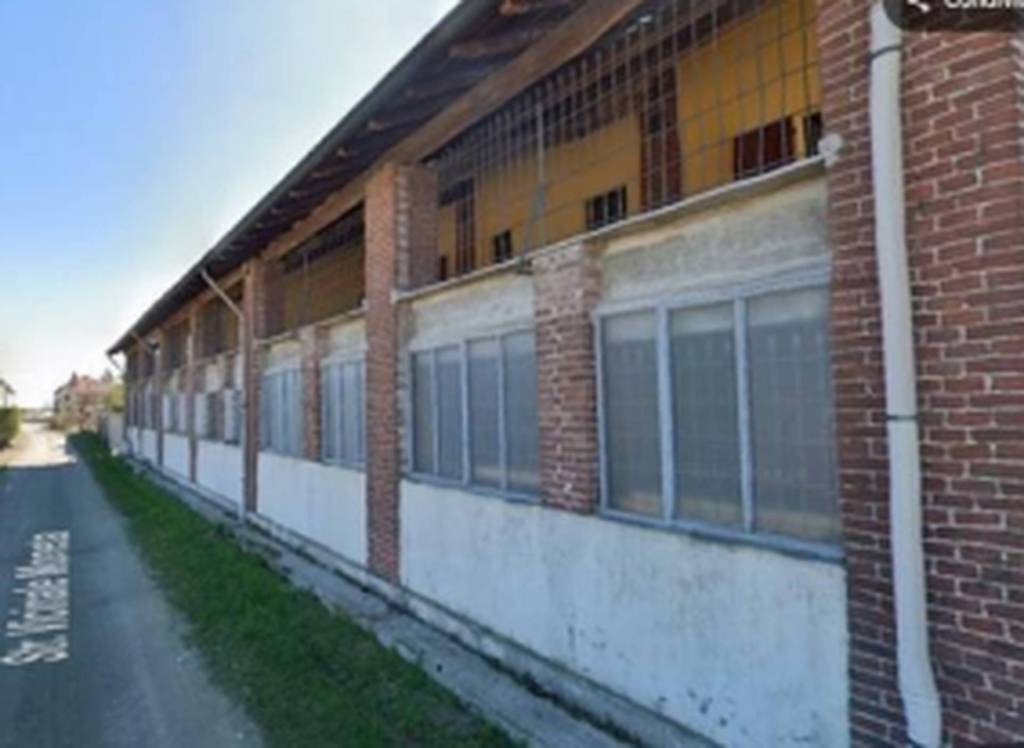 immagine annuncio 8 di 11