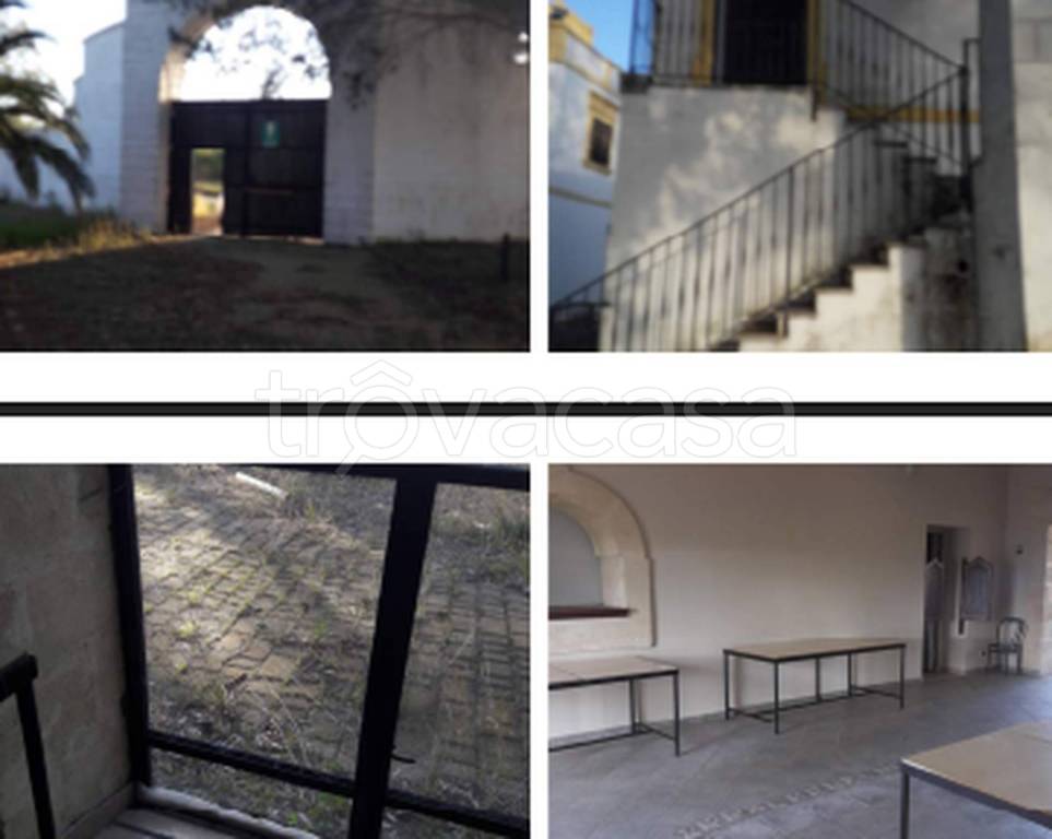 immagine annuncio 5 di 11