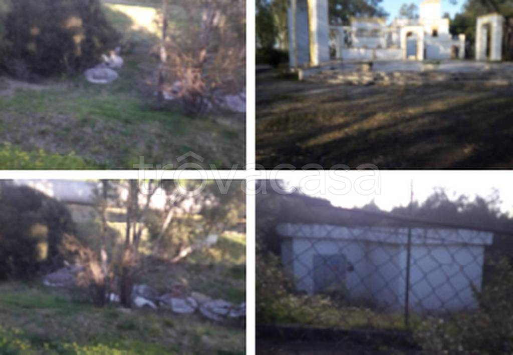 immagine annuncio 6 di 11