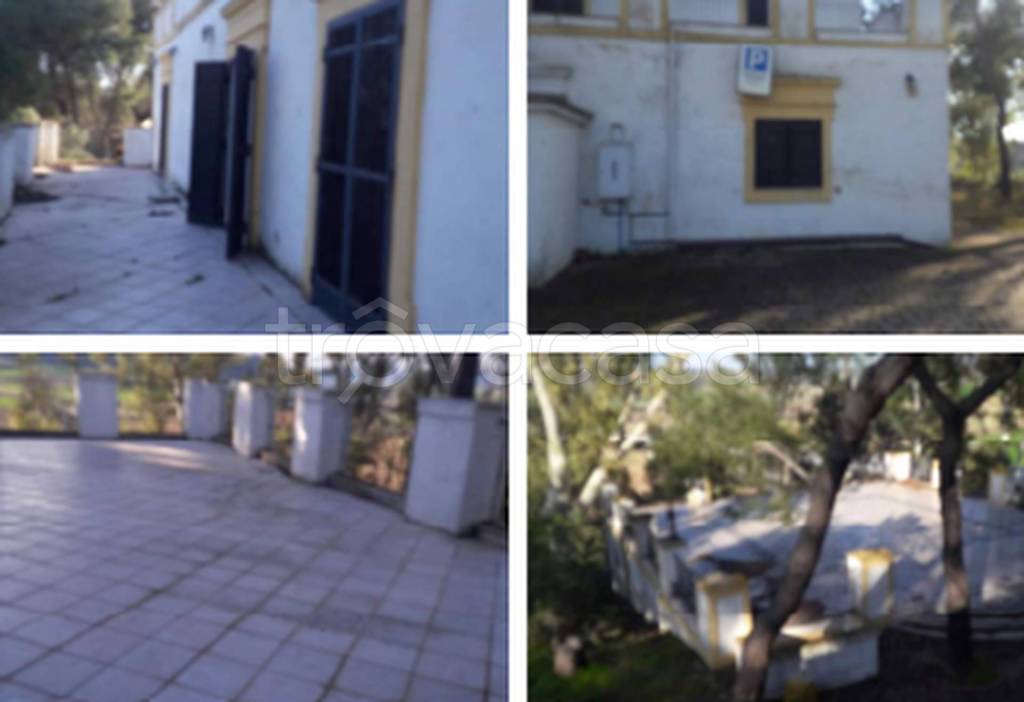 immagine annuncio 8 di 11