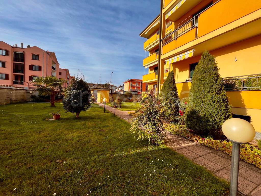 immagine annuncio 3 di 15