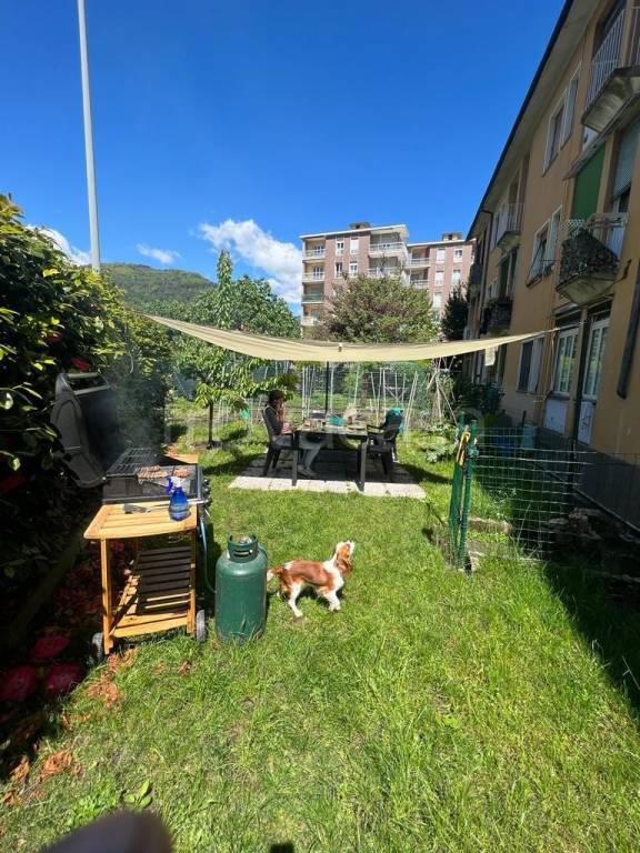 immagine annuncio 10 di 12