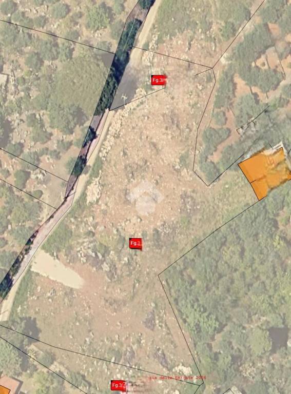 immagine annuncio 4 di 9